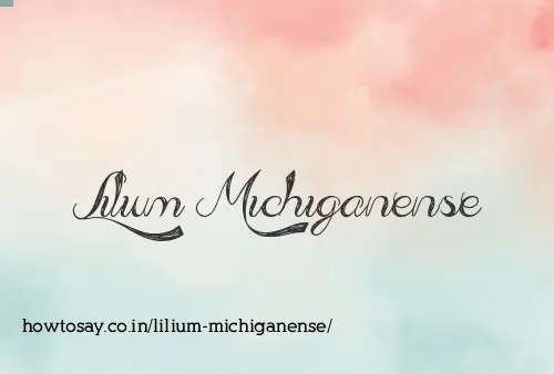 Lilium Michiganense