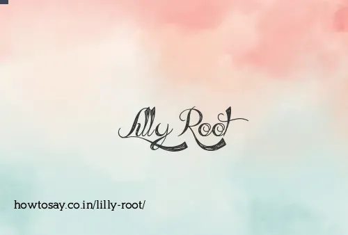 Lilly Root