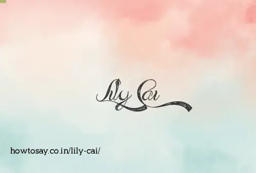 Lily Cai