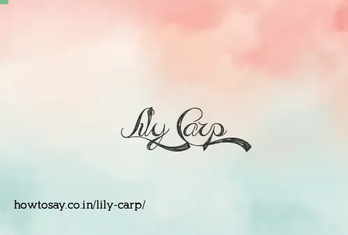 Lily Carp