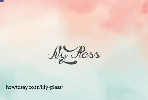 Lily Plass