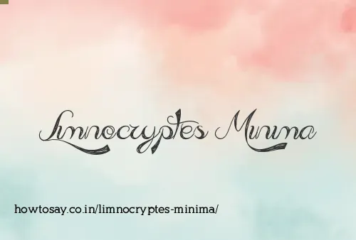 Limnocryptes Minima