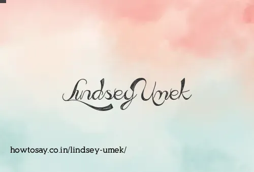 Lindsey Umek