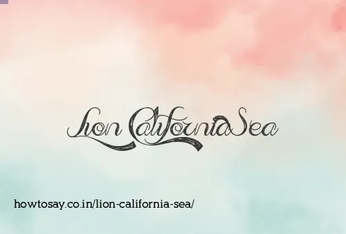 Lion California Sea