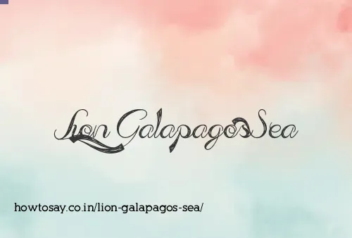 Lion Galapagos Sea