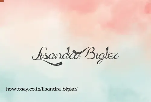 Lisandra Bigler