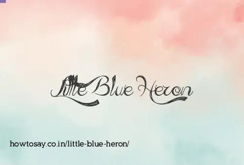 Little Blue Heron