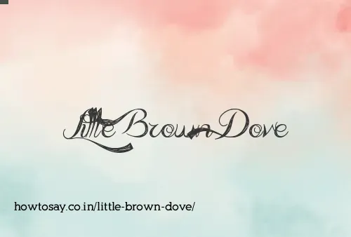 Little Brown Dove