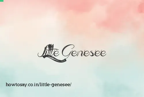 Little Genesee