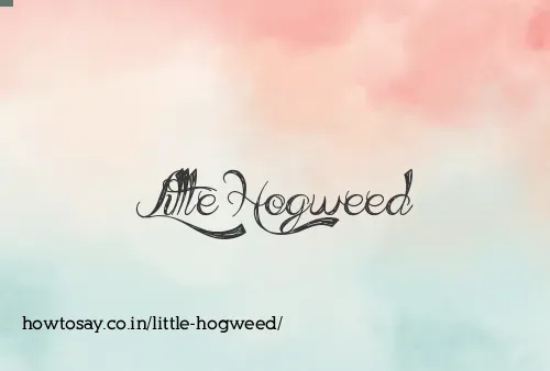 Little Hogweed