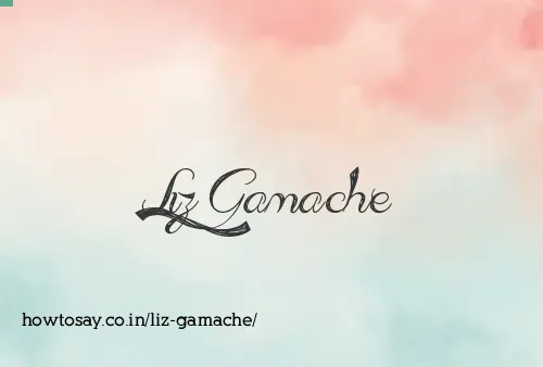 Liz Gamache