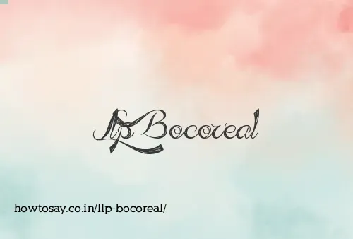 Llp Bocoreal