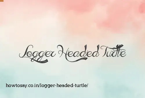Logger Headed Turtle