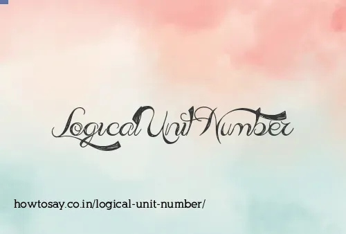 Logical Unit Number