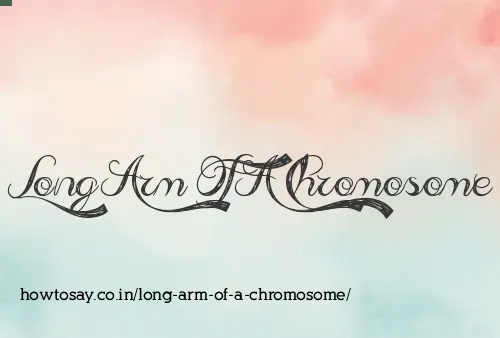 Long Arm Of A Chromosome