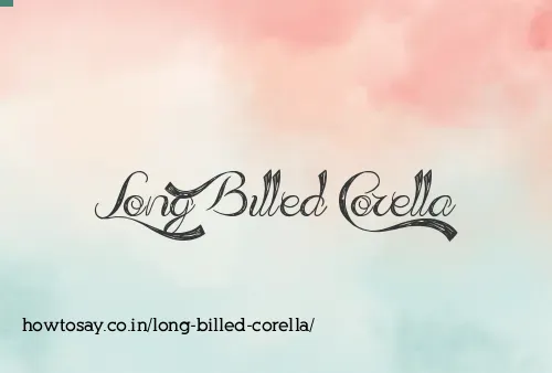 Long Billed Corella