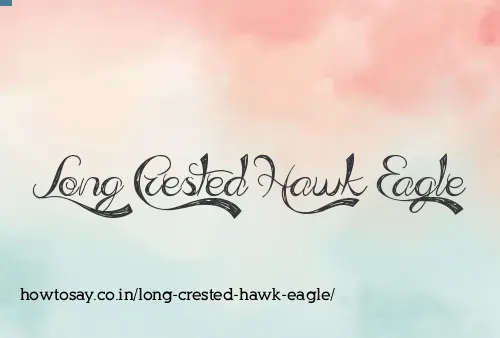 Long Crested Hawk Eagle