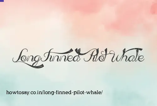 Long Finned Pilot Whale