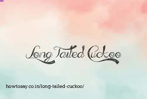 Long Tailed Cuckoo