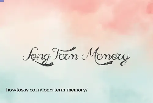 Long Term Memory