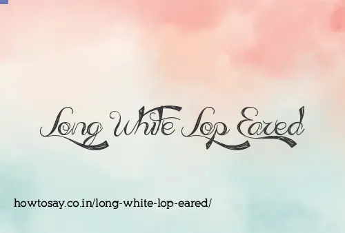 Long White Lop Eared