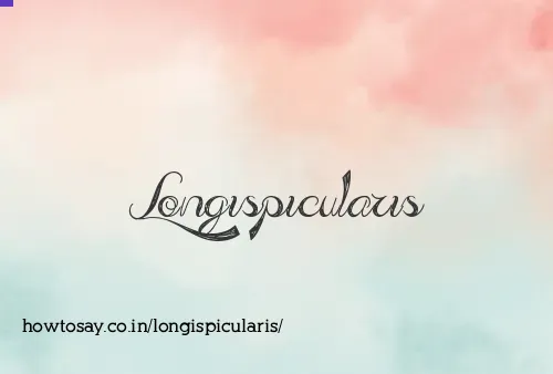 Longispicularis