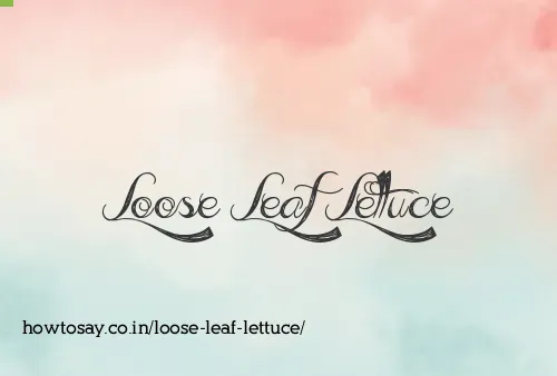 Loose Leaf Lettuce