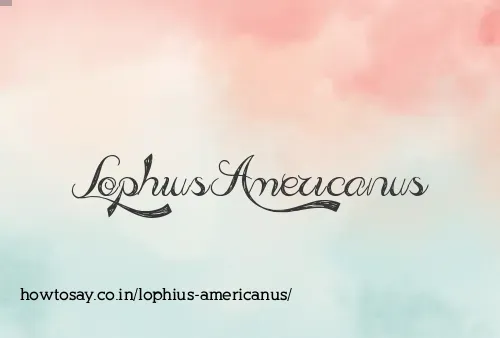 Lophius Americanus