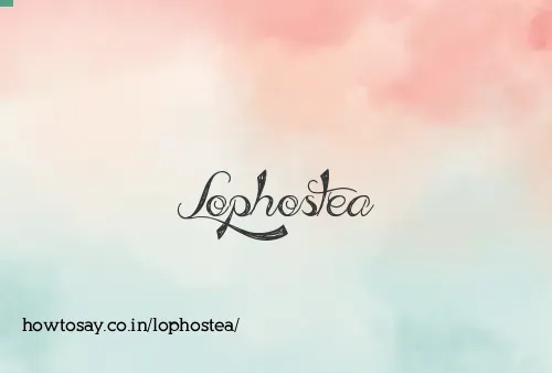 Lophostea