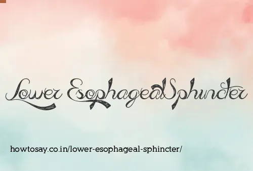 Lower Esophageal Sphincter