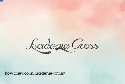 Lucidania Gross