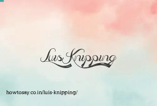 Luis Knipping