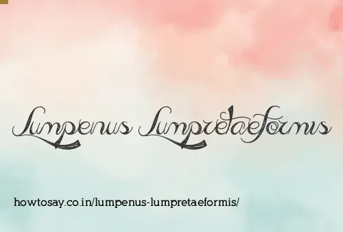 Lumpenus Lumpretaeformis