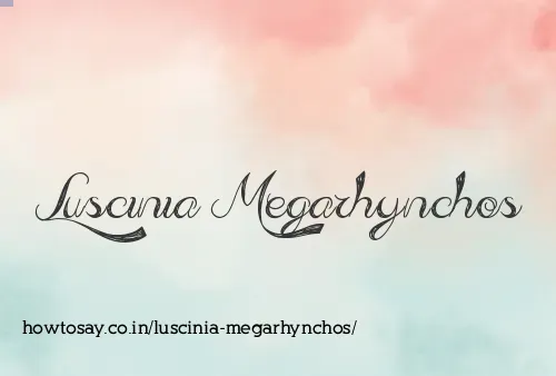 Luscinia Megarhynchos