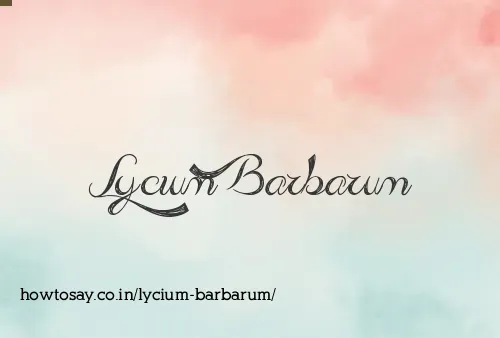 Lycium Barbarum