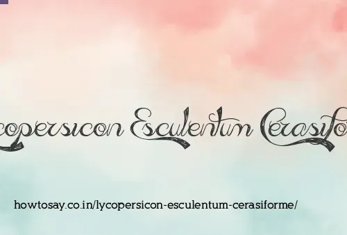Lycopersicon Esculentum Cerasiforme