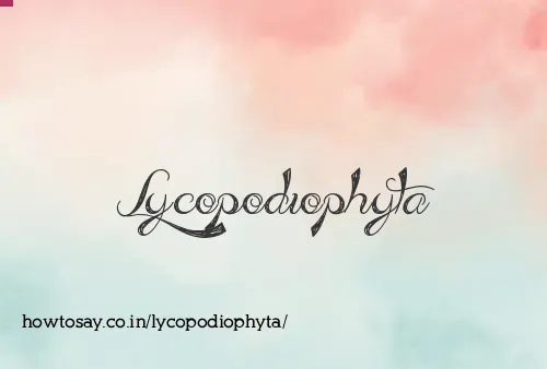 Lycopodiophyta