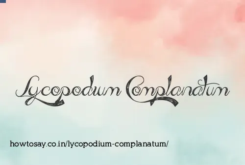 Lycopodium Complanatum