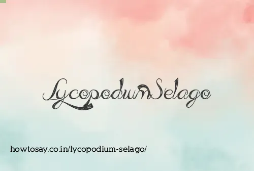 Lycopodium Selago