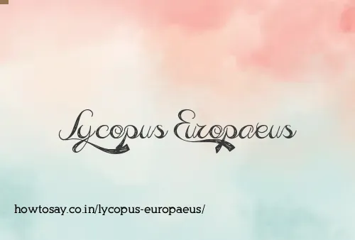 Lycopus Europaeus
