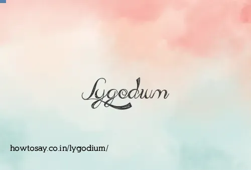 Lygodium