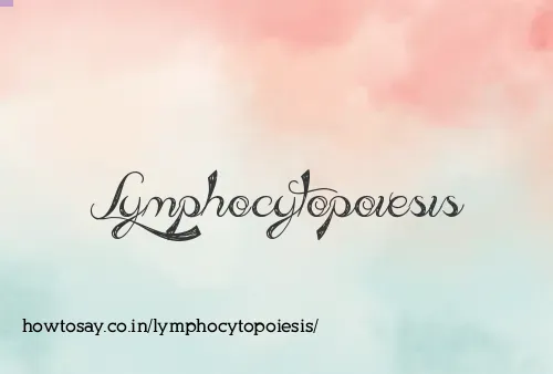 Lymphocytopoiesis