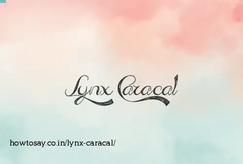 Lynx Caracal