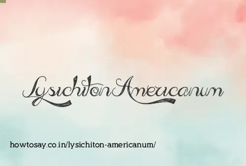 Lysichiton Americanum