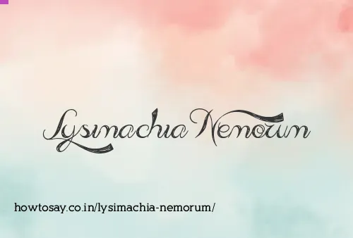 Lysimachia Nemorum
