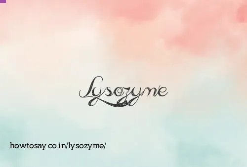 Lysozyme