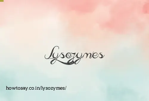 Lysozymes