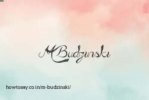 M Budzinski