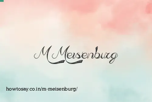 M Meisenburg
