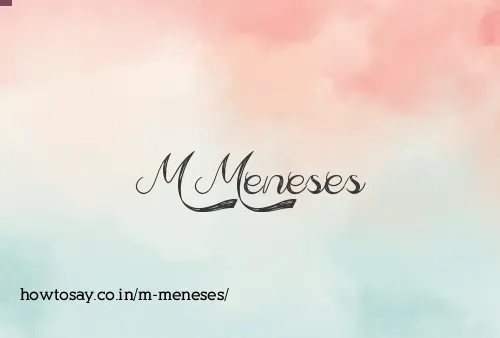 M Meneses